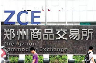 投資者必知 全國性交易所僅8家，警惕上海信息咨詢服務(wù)類陷阱