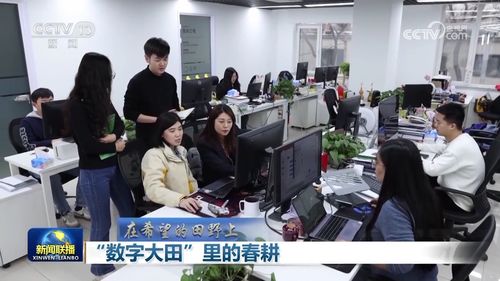 數(shù)字大田里的春耕 上海信息咨詢服務(wù)引領(lǐng)農(nóng)業(yè)現(xiàn)代化新篇章
