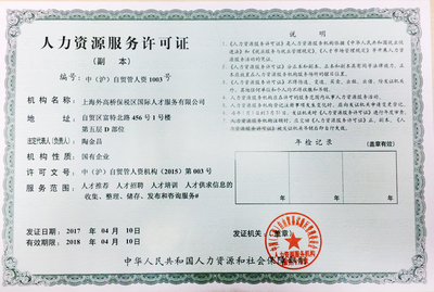 上海信息咨詢服務(wù) 專業(yè)導(dǎo)航，智啟未來